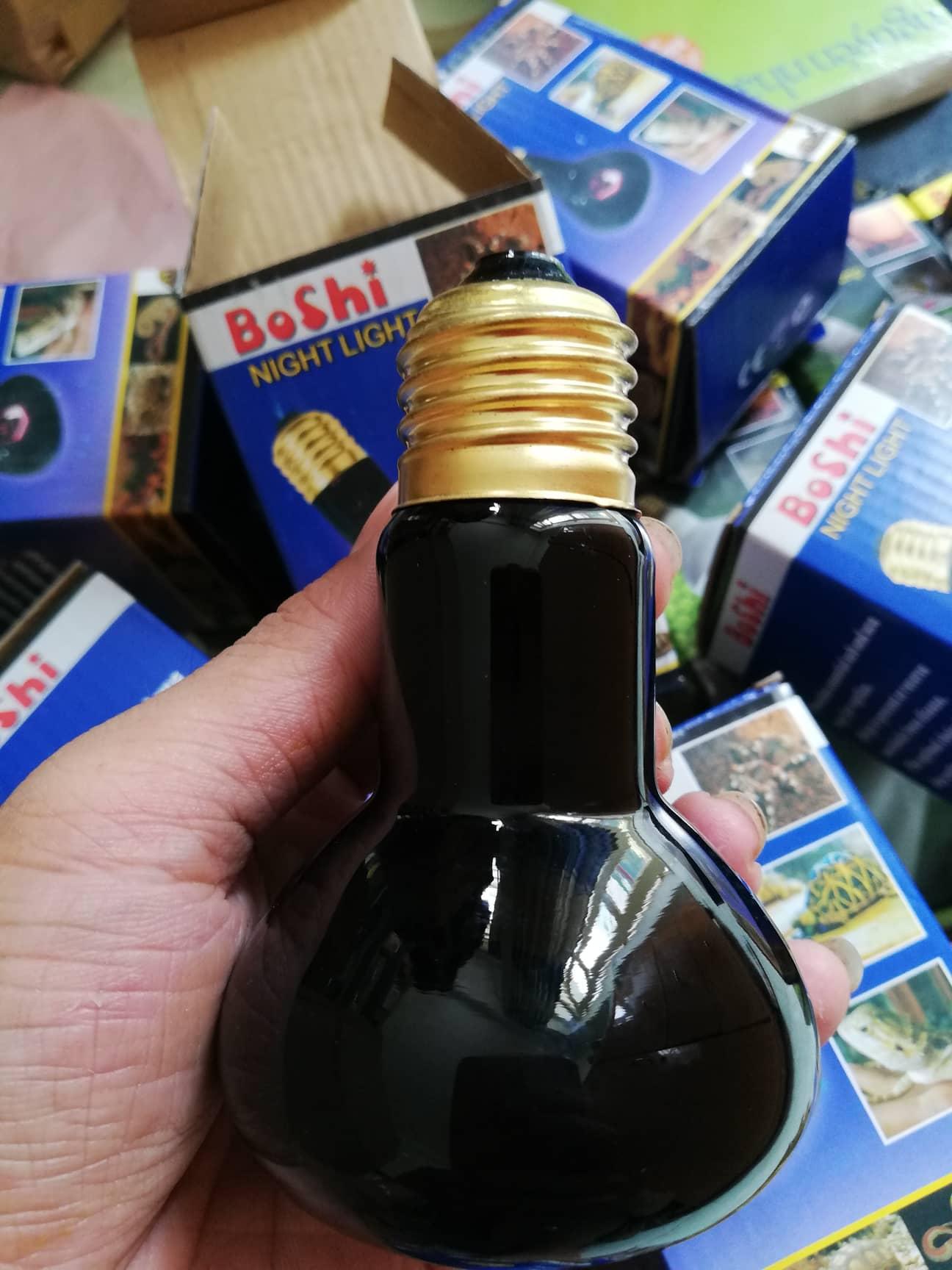 [HCM]Đèn sưởi đêm cao cấp cho bò sát nomoypet