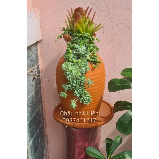 Chậu đất nung Bình Dương xẻ sọc thân m9xc25
