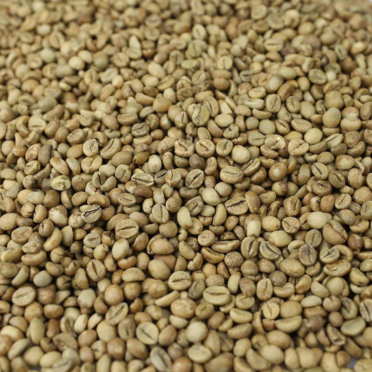 Cà Phê ROBUSTA Rang Mộc Nguyên Chất S18