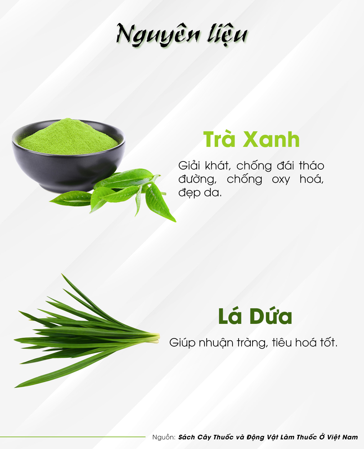 BỘT TRÀ XANH SỮA Hiệu Macha (TRÀ XANH SỮA) -  Trà Hùng Phát