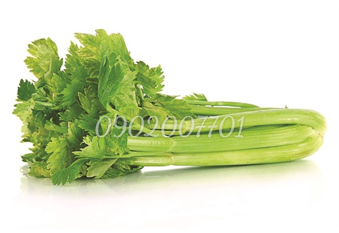 500g Bột cần tây sấy lạnh nguyên chất 100%