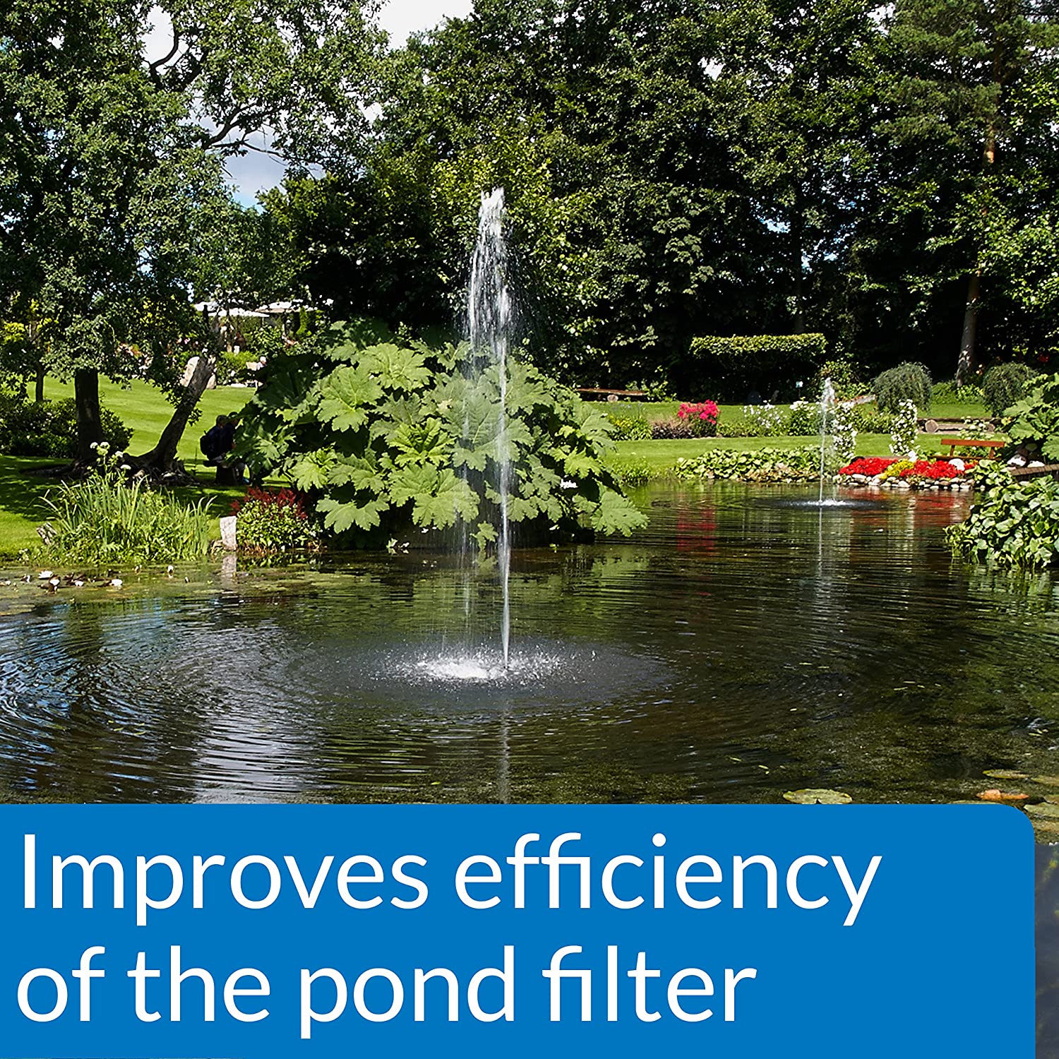 API - Accu Clear (Pond) - Làm trong cấp tốc nước ngọt
