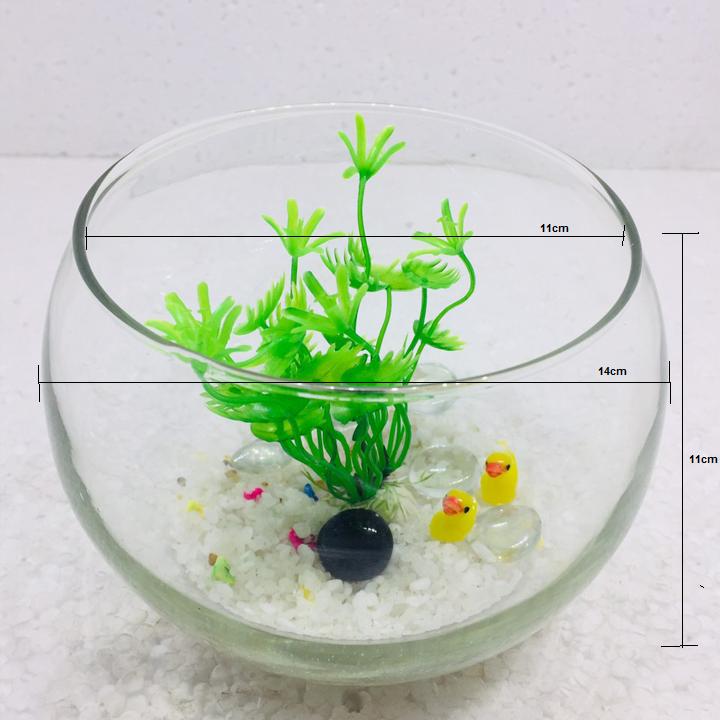 Bể cá mini để bàn tròn - Tặng phụ kiện