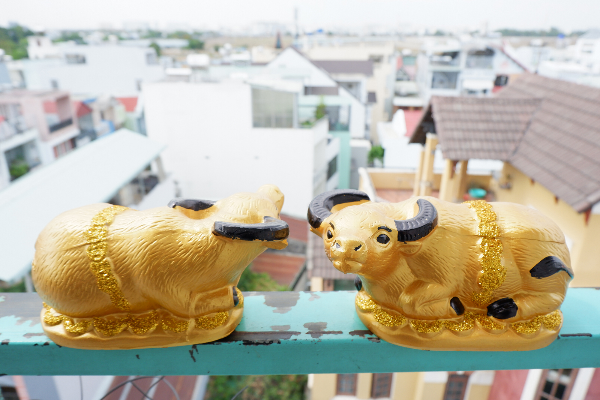Trâu Vàng Tiết Kiệm - Trâu Đất Vàng Kim