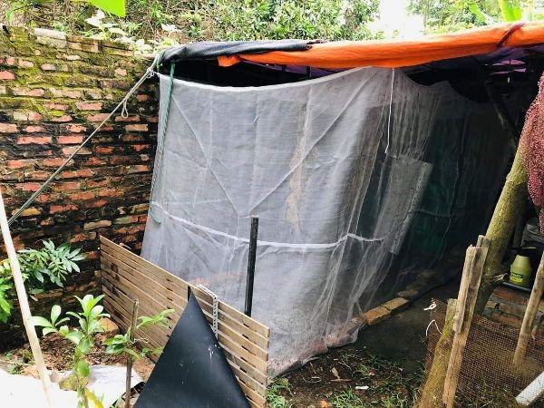 mùng nuôi ruồi lính đen 3x2x2