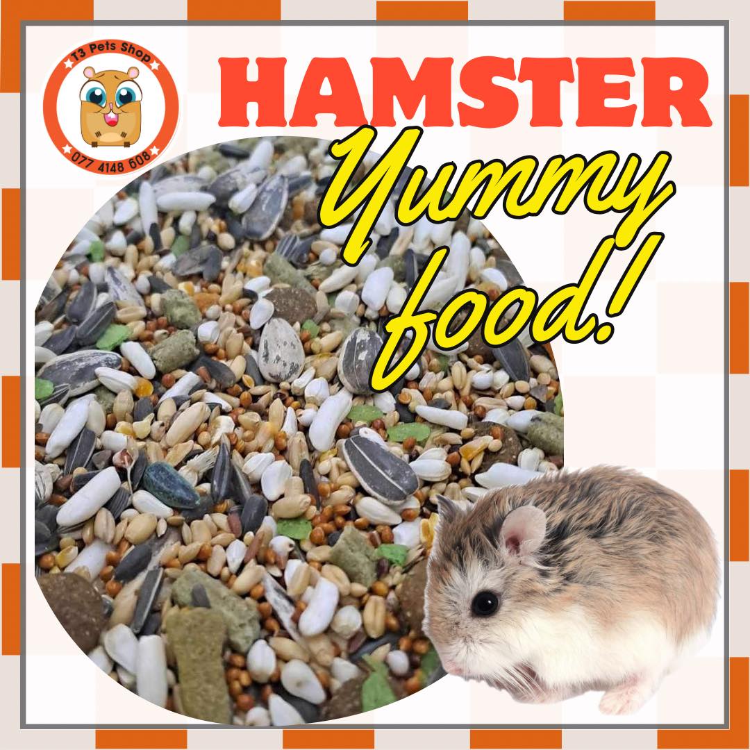 thức ăn ngũ cốc hạt (Normal, Yummy, Big) dành cho mọi loại hamster - T3 PETS SHOP