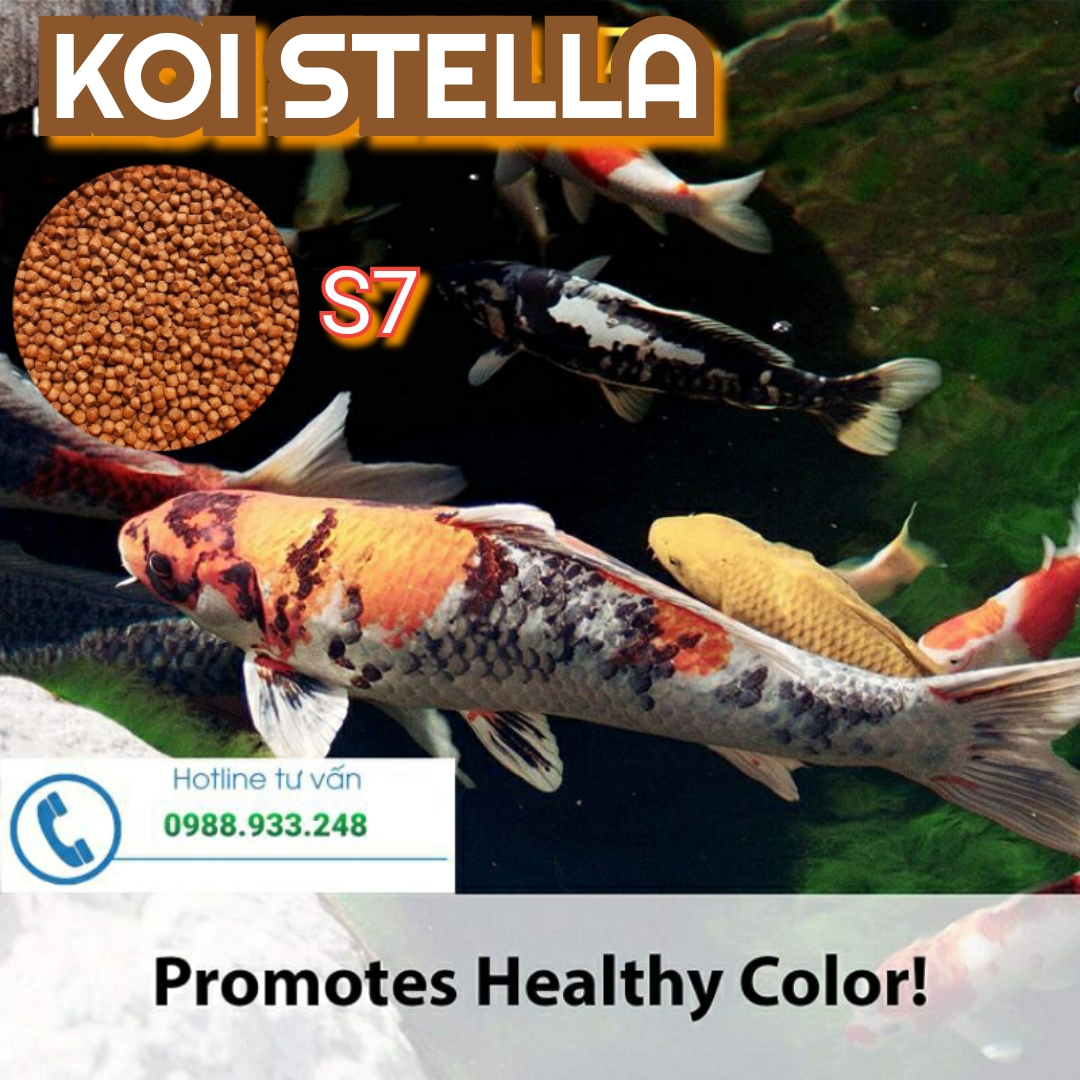 Cám KOI STELLA S7 dành cho cá KOI || 1Kg