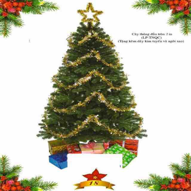 Cây thông Noel xanh đầu tròn 2 in 2m4 trang trí noel