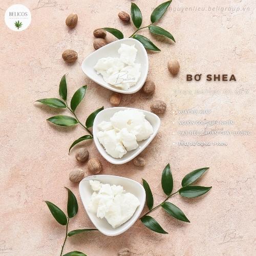 Bơ Hạt Mỡ - Bơ shea làm son môi - Shea Butter