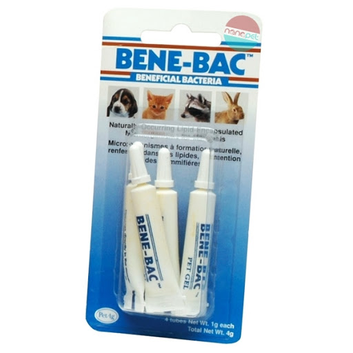 MEN TIÊU HÓA BENE-BAC PLUS CHO CHÓ MÈO