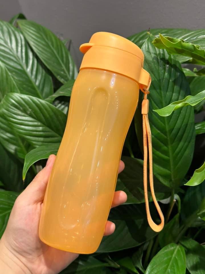 Bình nước ECO BOTTLE GEN II 500ml