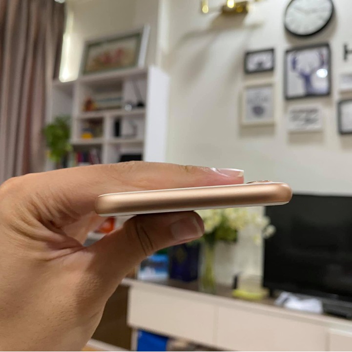 Dán PPF full viền dục lỗ loa dành cho iPhone 8