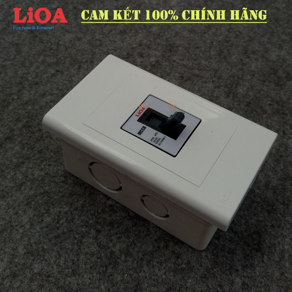 Mặt chứa 1 cầu dao MCCB 2 cực - CB cóc