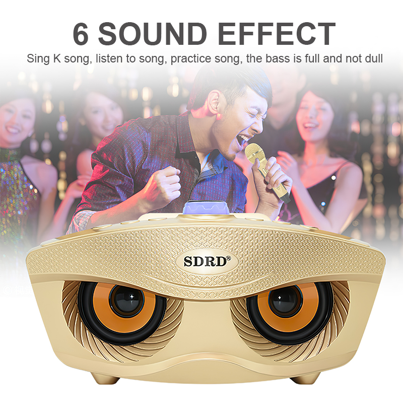 Loa Bluetooth Karaoke SDRD SD 306 Plus Bản Mới Nhất,Kèm 2 Micro Karaoke Không Dây,Chất Lượng âm Thanh Tuyệt Vời