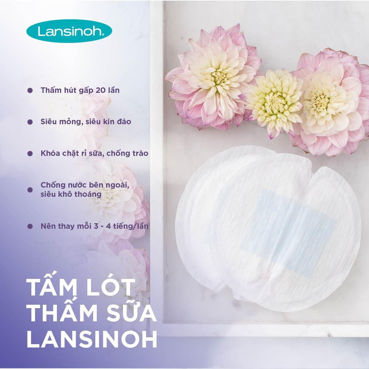 Tấm lót thấm sữa Lansinoh (60 miếng/hộp) - HSD: 11/2023