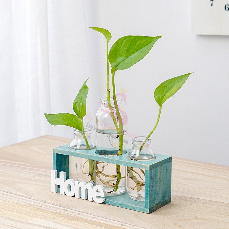 Bình Hoa Thủy Tinh Home Lily's decor house trồng Cây Thủy Canh Cắm Hoa decor Trang Trí Nhà Phòng Khách không gồm hoa
