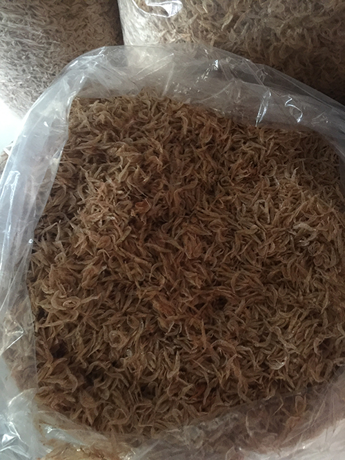 [combo 2 gói 500gram] - RUỐC KHÔ / TÉP KHÔ ĐẶC SẢN ĐÀ NẴNG