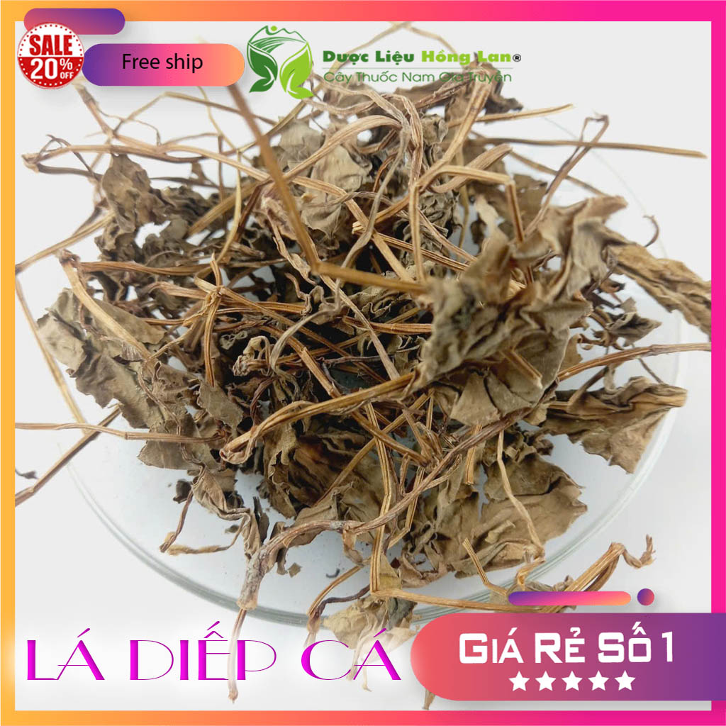 ✅ 500g Lá Diếp Cá khô (Thơm ngon, khô sạch, mới, không chất bảo quản)