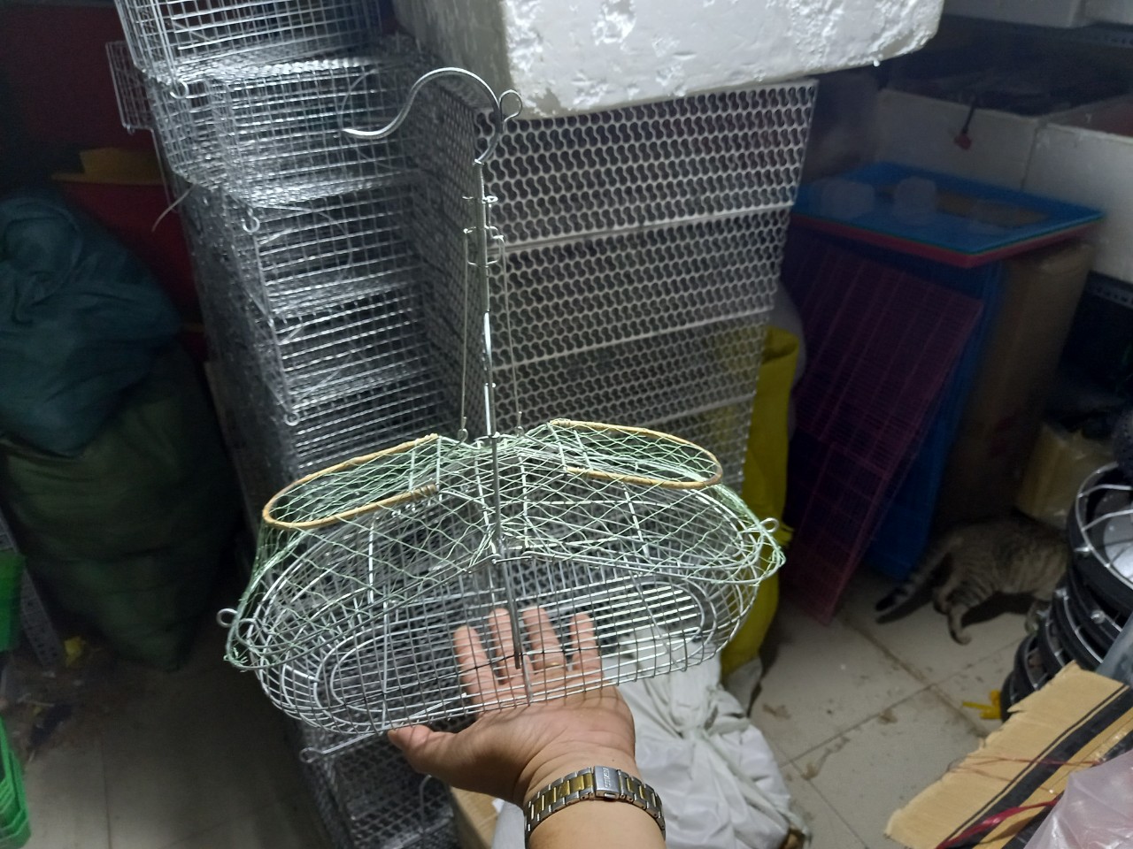 Lụp bẫy chim khuyên, bẫy chim sâu