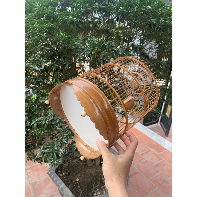 Lồng khuyên xử lý size 22 x 30cm LC29