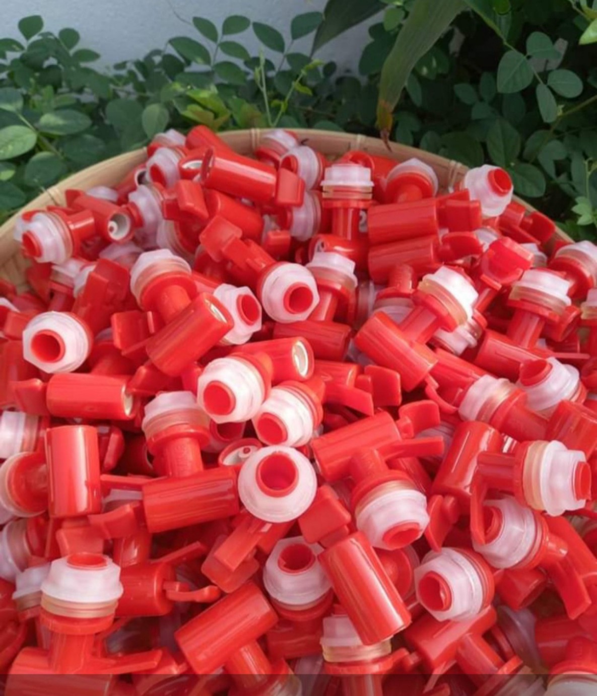 (Hcm)Vòi bình nước .100 cái vòi loại tốt