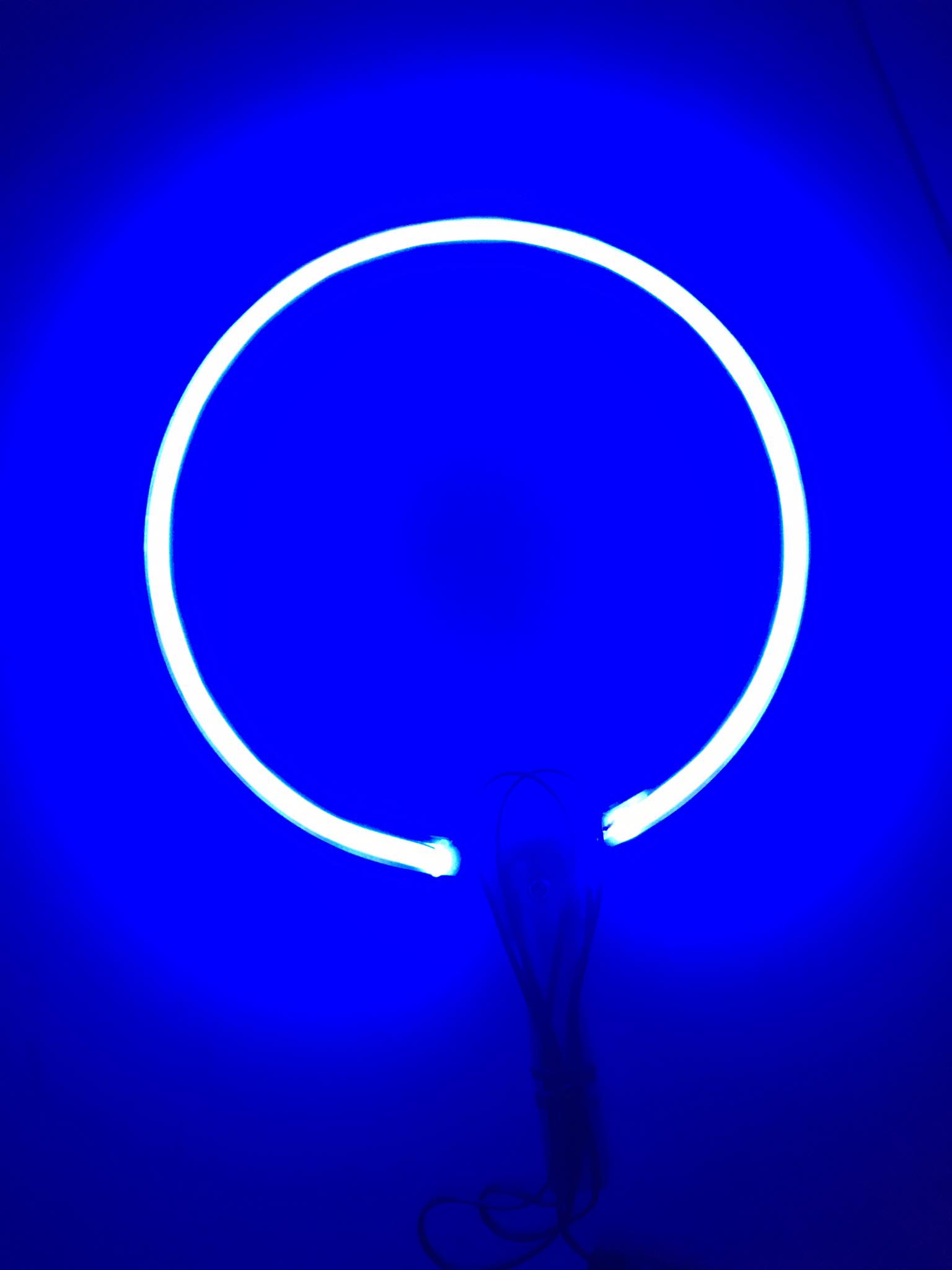 ( HCM) vòng hào quang NEON LED 28cm (kèm nguồn )