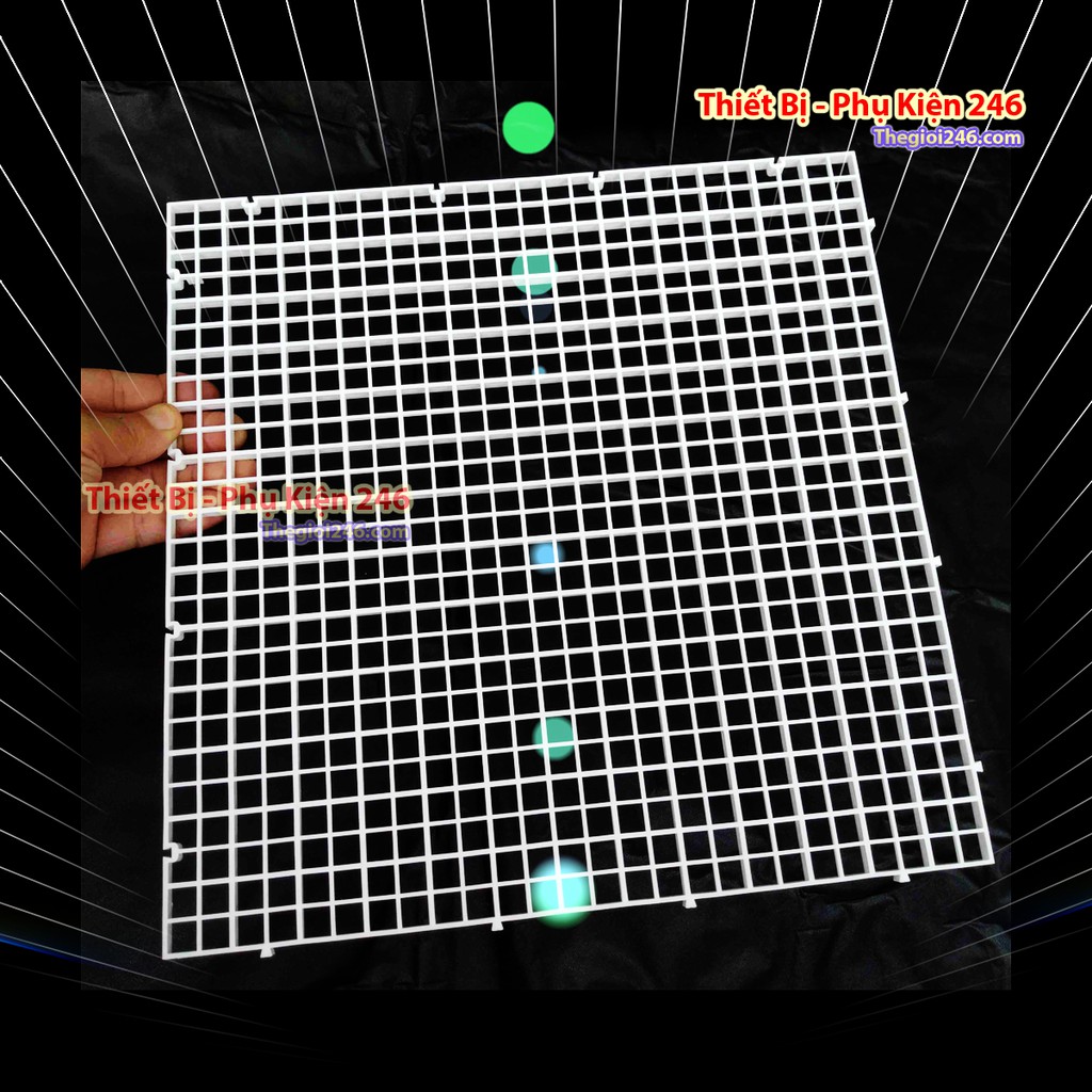 Vĩ nhựa ngăn bể cá 30x30cm - Tấm ngăn bể cá - Vách chia bể cá