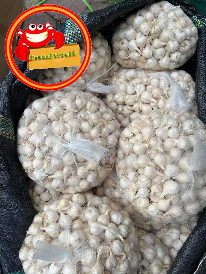 Tỏi Lý Sơn