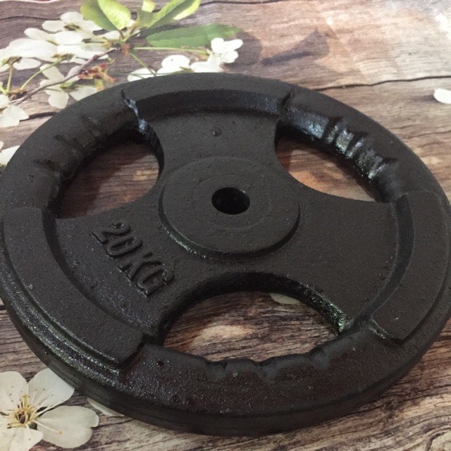 Tạ Gang, Tạ Miếng Gang 3 Lỗ 20Kg
