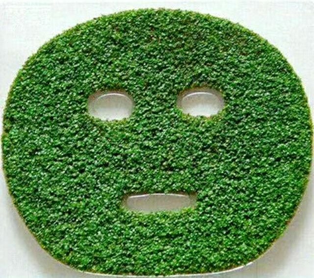 50 miếng mặt nạ hạt mầm rong biển/hạt ngũ hoa tự nhiên