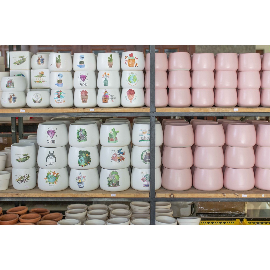 Chậu sứ bầu màu hồng - Vườn sen đá