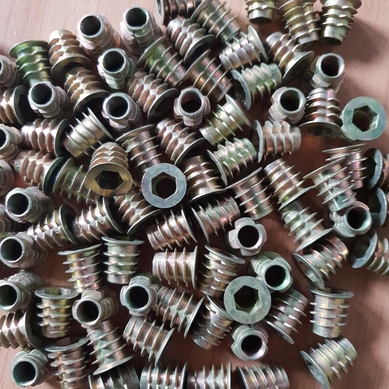 Túi ốc cấy gỗ phi 8 - 100 con