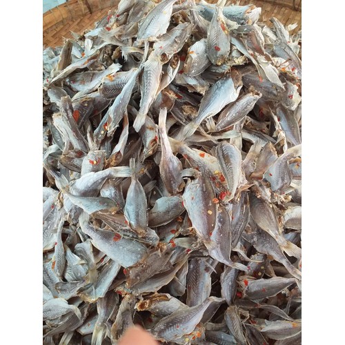 1KH KHÔ CÁ ĐÙ ƯỚP GIA VỊ SIÊU NGON