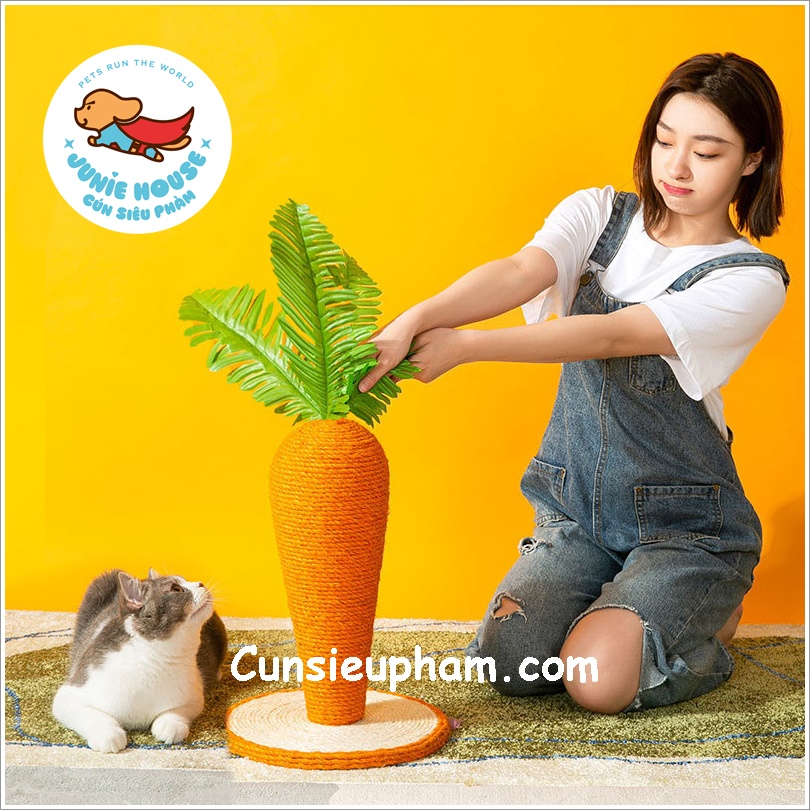 Đồ chơi cây cà rốt cào móng cho mèo