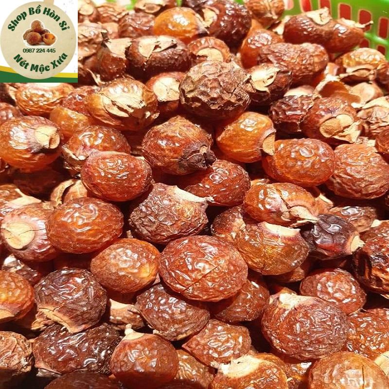 Combo 2kg bồ hòn tách hạt tặng 100g bột bồ hòn