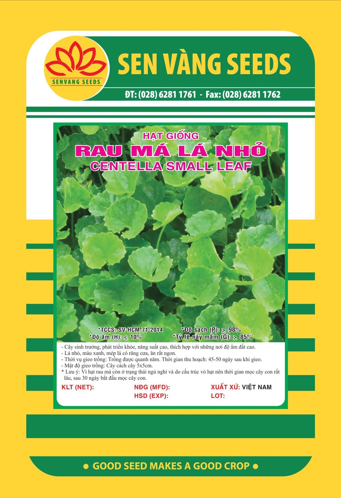 Hạt Giống Rau Má Lá Nhỏ Gói 1gram
