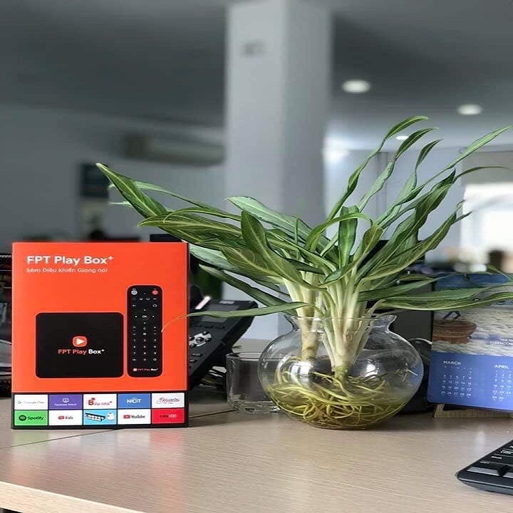 [HCM]FPT BOX Play 2019