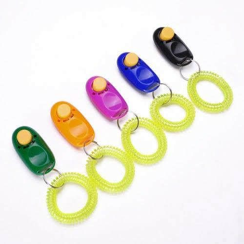 Clicker huấn luyện chó