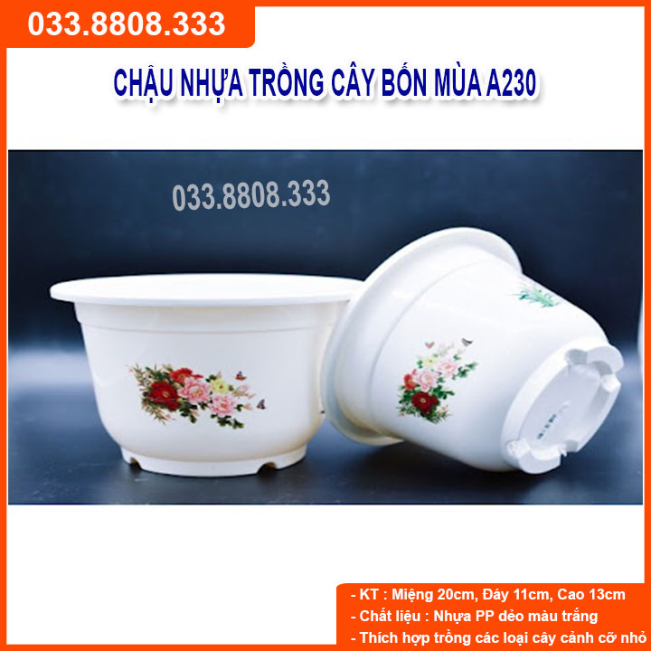 10 chậu nhựa bốn mùa a230 - chậu tròn trắng trồng hoa cây cảnh