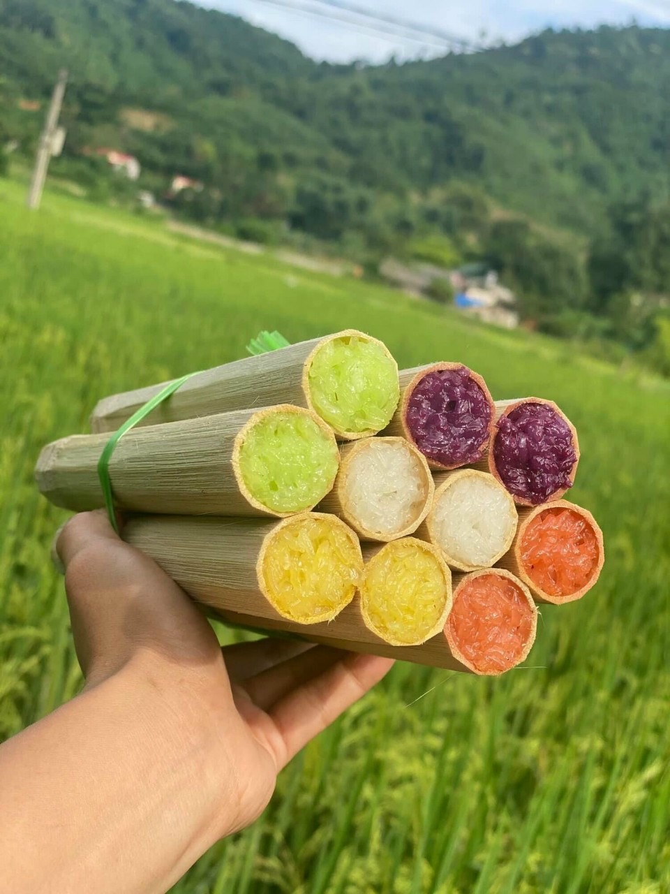 Set 5 ông cơm Lam ngũ sắc tây bắc 1kg