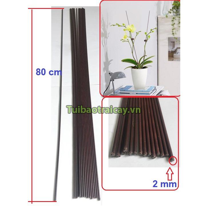 10 Que cắm lan, chống gãy cành lan 80cm