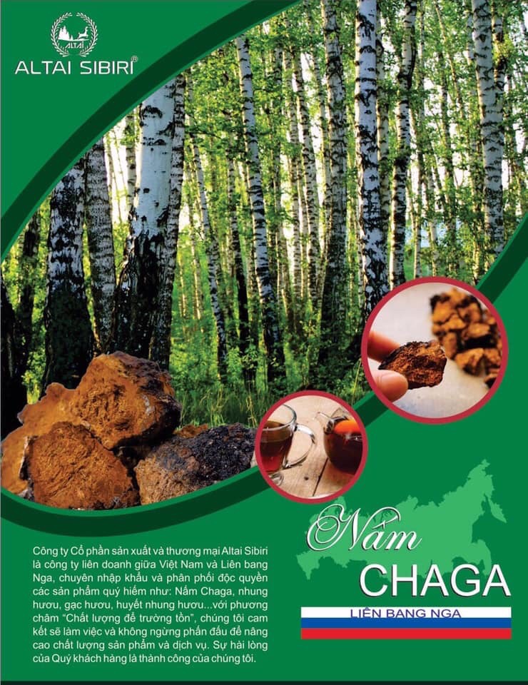 Nấm chaga Nga sibiri 100 gr