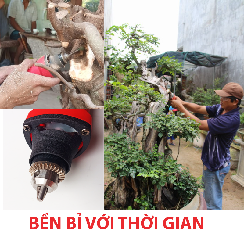 Máy làm Lũa Bonsai- máy làm sạch gỗ lũa