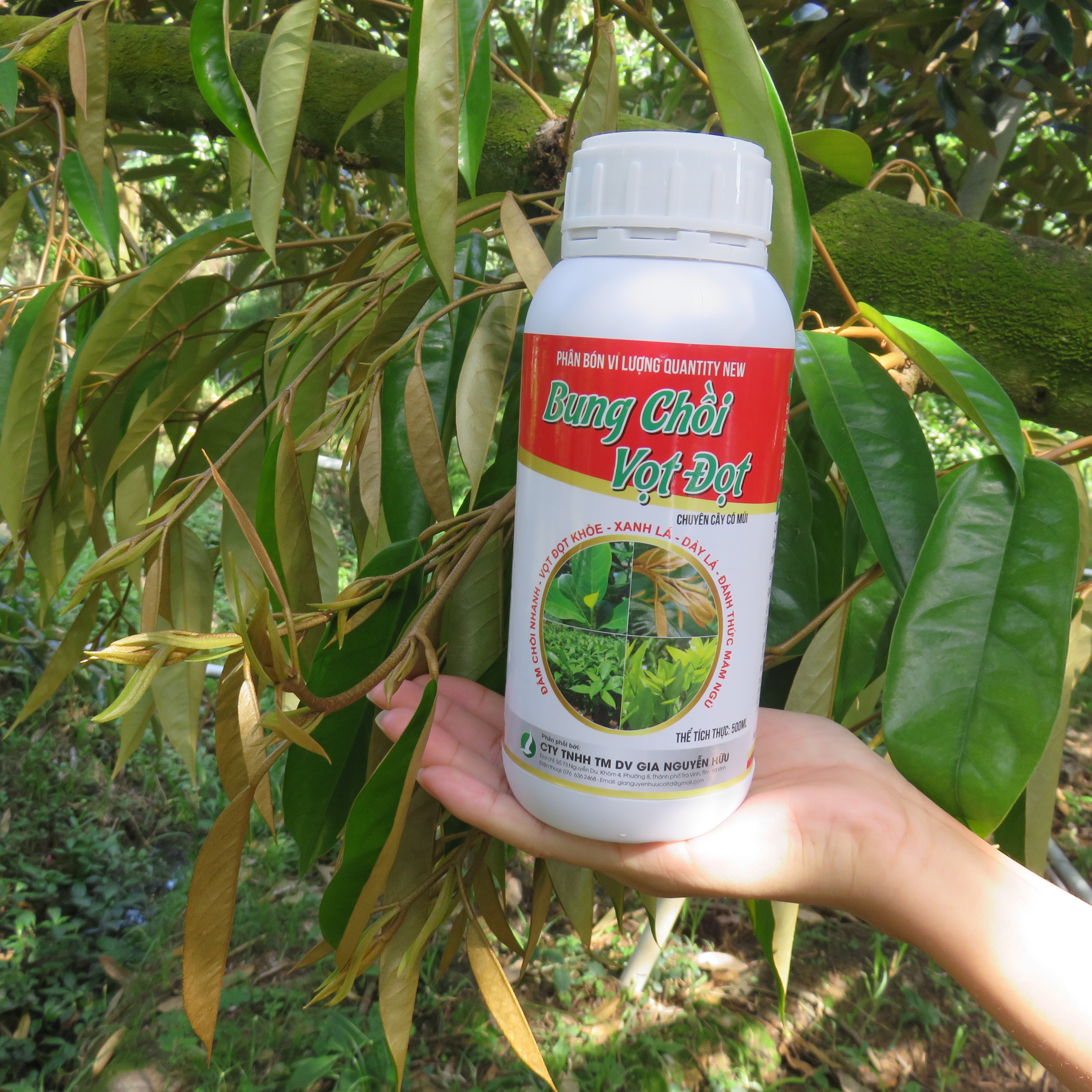 BUNG CHỒI VỌT ĐỌT CÂY ĂN TRÁI (chai 500ml)