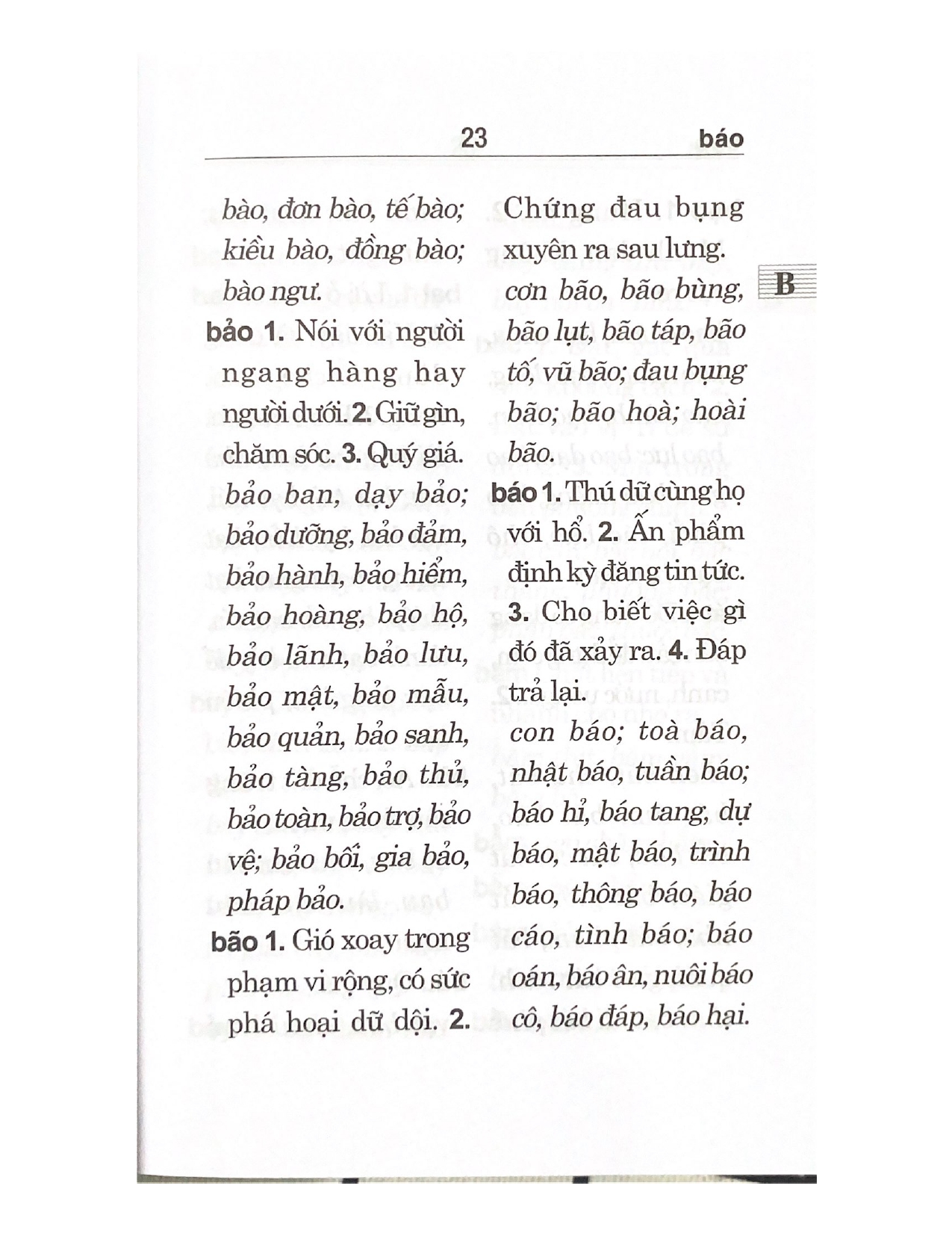 Sách - Từ Điển Chính Tả Tiếng Việt (Tác Phẩm Được Viện Ngôn Ngữ Học Thẩm Định)-Vanlangbooks