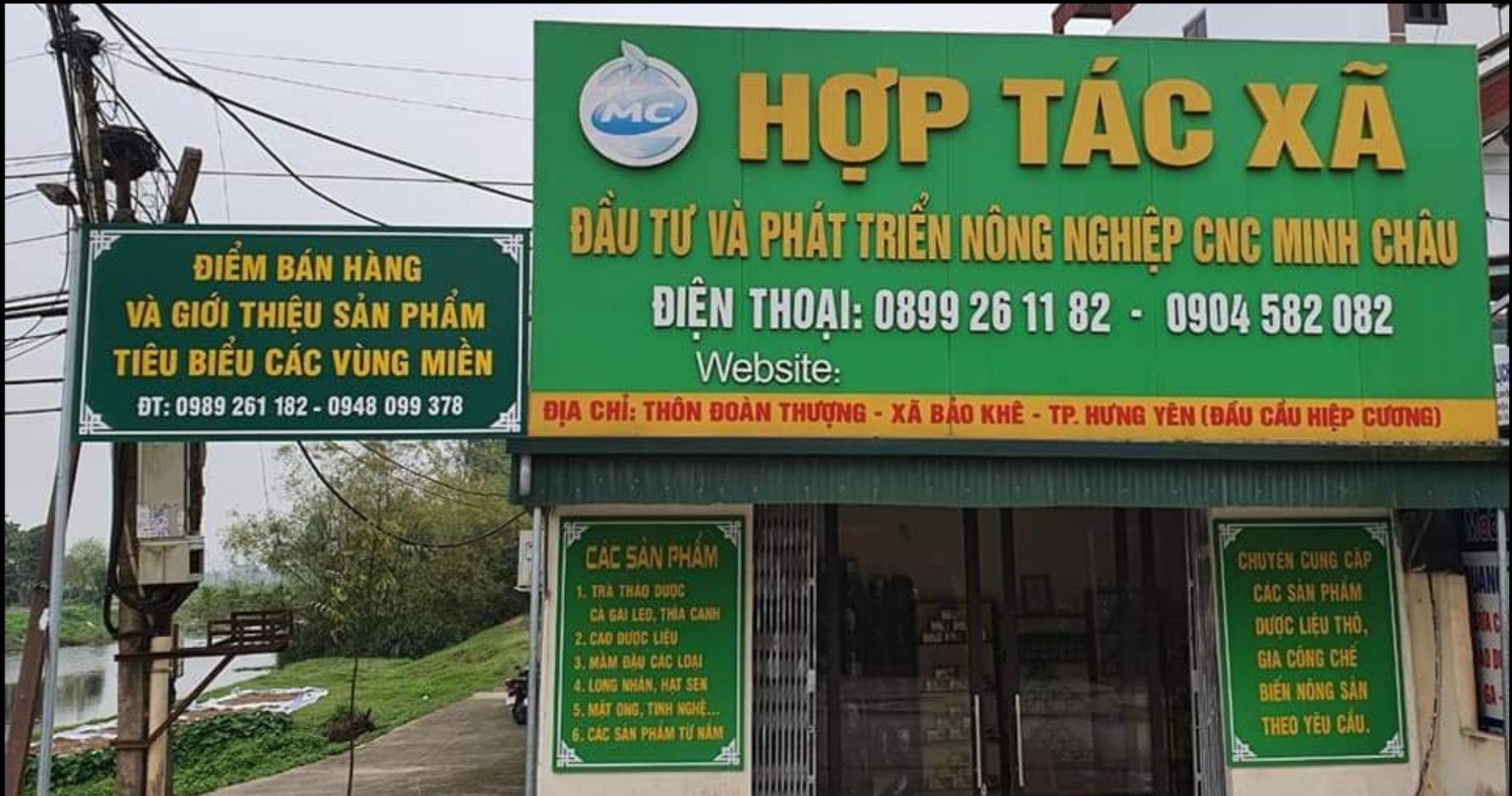 Trà Mầm Đậu Nành