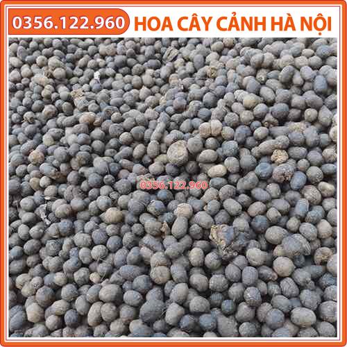 1kg phân dê đã qua xử lý tặng kèm 2M túi lưới