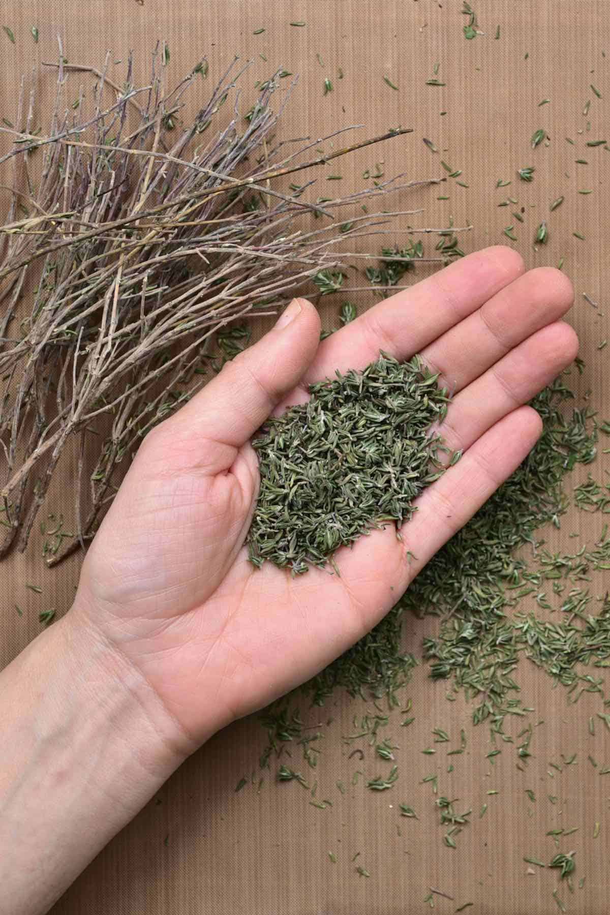 Thyme Leaves 100 gr (Dag Kekigi)