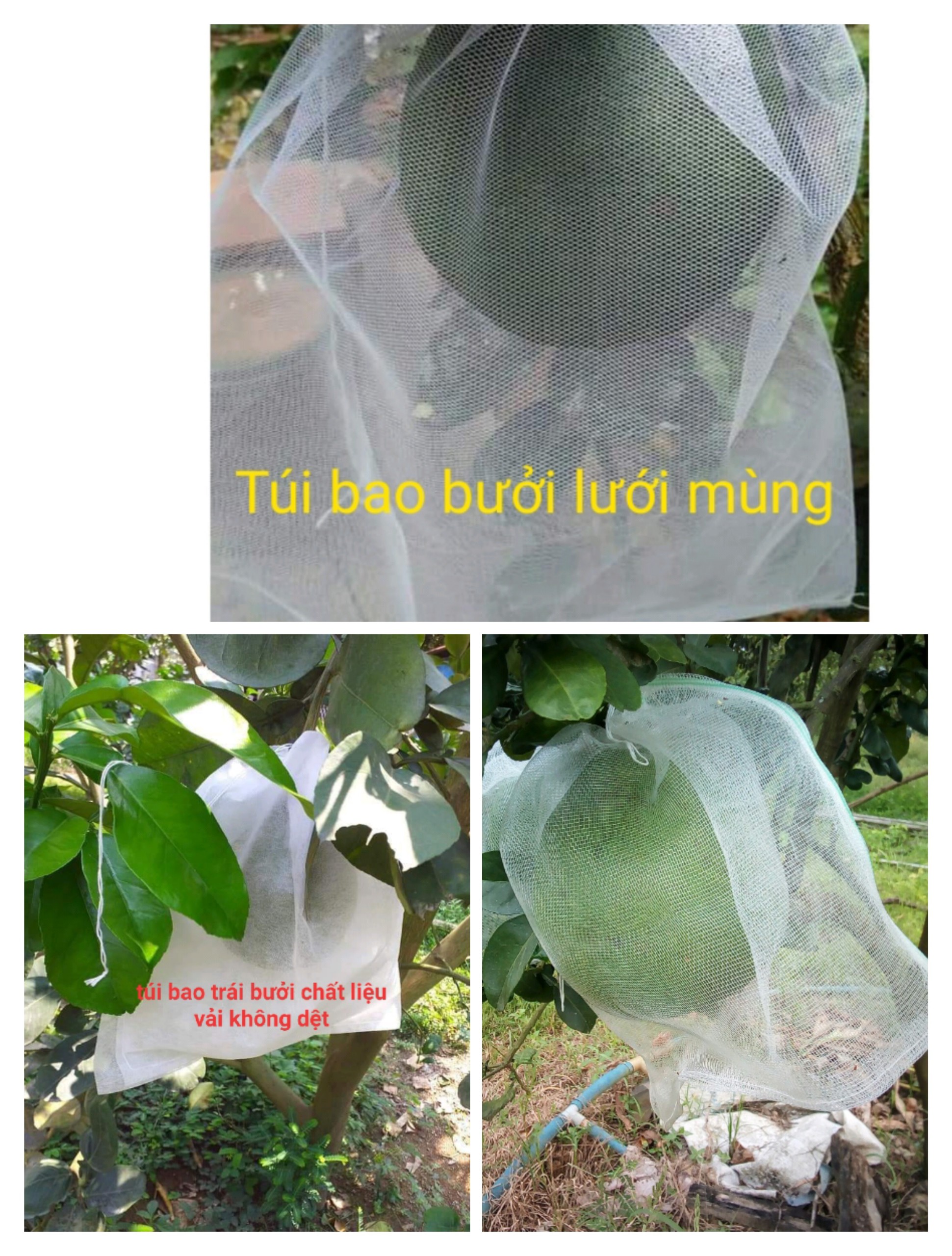 100 túi bọc bưởi mãng cầu (30x35cm)