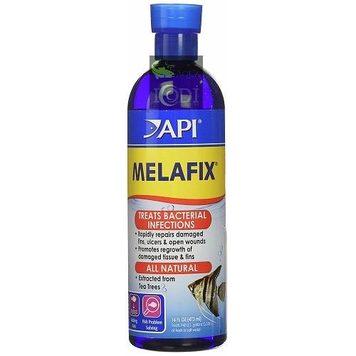 Dung dịch API MELAFIX 237ml